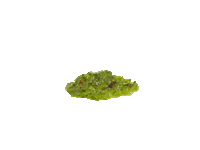Relish Sticker by Harvey's
