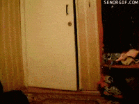 home coming GIF