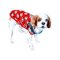 Happy Dogs Sticker