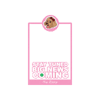 Dogs Cockapoo Sticker by Milagency