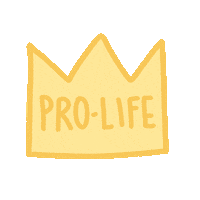 Pro Life Anti Abortion Sticker