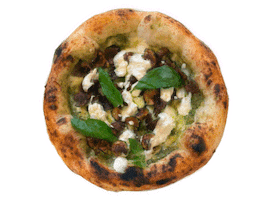pizzasecret pizza new york italy secret Sticker