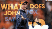 fox GIF by SB Nation