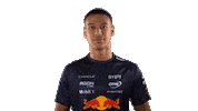 Red Bull Sr Sticker by Oracle Red Bull Racing
