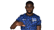 Home Bundesliga Sticker by Hertha BSC
