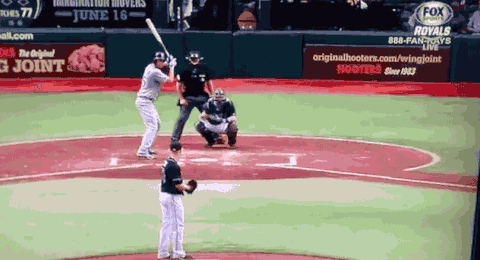 smashed GIF