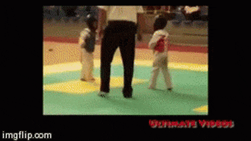 ko taekwondo GIF