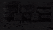 GIF by starpilwaxusa