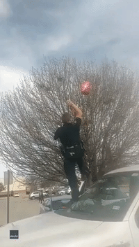 Be Still My Heart: Police Officer Rescues Woman's Balloon on Valentine's Day