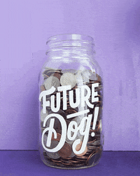 homsweethom  GIF