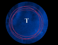 daniellexdesignco thanks thankyou daniellexdesignco dxdco GIF