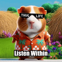 Peace Wisdom GIF by Guinea Gambino