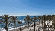 Nos Vemos GIF by Spain For Sale