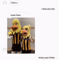 Afl Hawks GIF