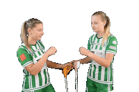 Floorball Fbsbohemians Sticker by Český florbal