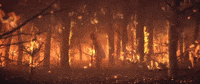 out of the woods mv GIF by Taylor Swift