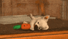 GIF by Disney