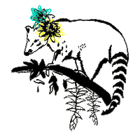 Mono Misiones Sticker