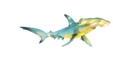 under the sea lol Sticker by Dublin Zoo