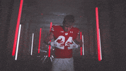 Football Brush Off GIF by Wisconsin Badgers