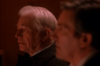 season 2 GIF by Twin Peaks on Showtime