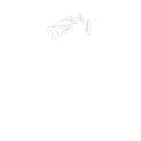 Arosacruises Sticker by A-ROSA Kreuzfahrten