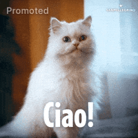 GIF by Sanpellegrino