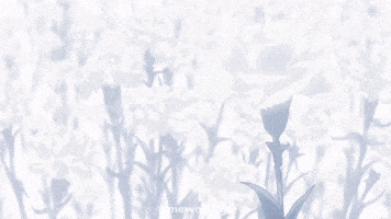 Tokyo Ghoul GIF