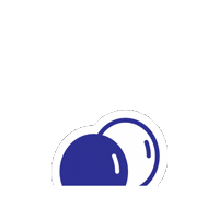 Fun Birthday Sticker by What's in Z Box