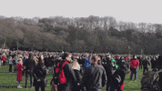 Gathering Mi Amigo GIF by DeeJayOne