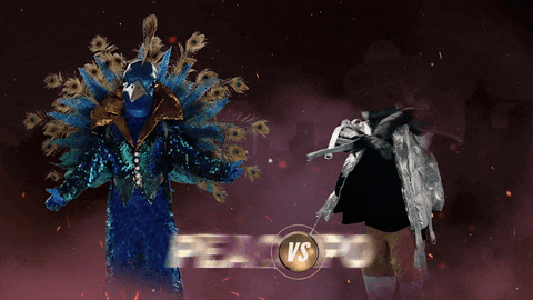 fox tv GIF by The Masked Singer
