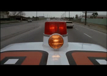 cult movies GIF