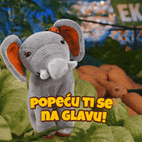 Safari Roda GIF by IDEA