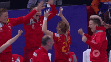 celebration win GIF by EHF
