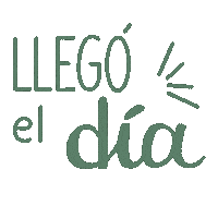 soledadprovens wedding boda matrimonio soledadprovens Sticker