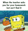 homework GIF