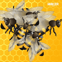Honey Bee GIF by Astroon