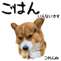 Corgi Milo Sticker