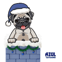 christmas pug Sticker by Jose Cuervo