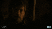 season 8 jaime GIF by Game of Thrones