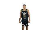 Basket Hawkins Sticker by Stade Rochelais