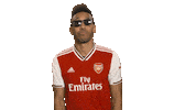Football Soccer Sticker by Arsenal