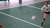 Iwutitans Tgoe GIF by iwusports