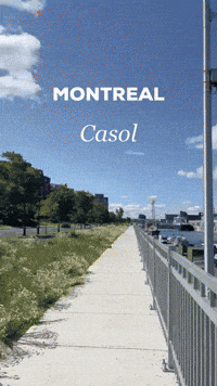 Canada Montreal GIF by Casol