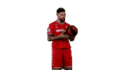 Liga Endesa Sport Sticker by ACB