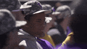 Baton Rouge Celebration GIF by LSU Tigers