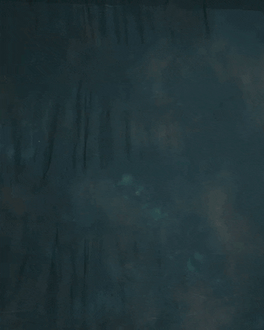 Major League Soccer Sport GIF by Timbers