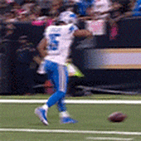 Football Nfl GIF by SignMeUp