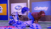 Animal Planet GIF by Puppy Bowl