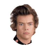 Harry Styles Sticker by imoji